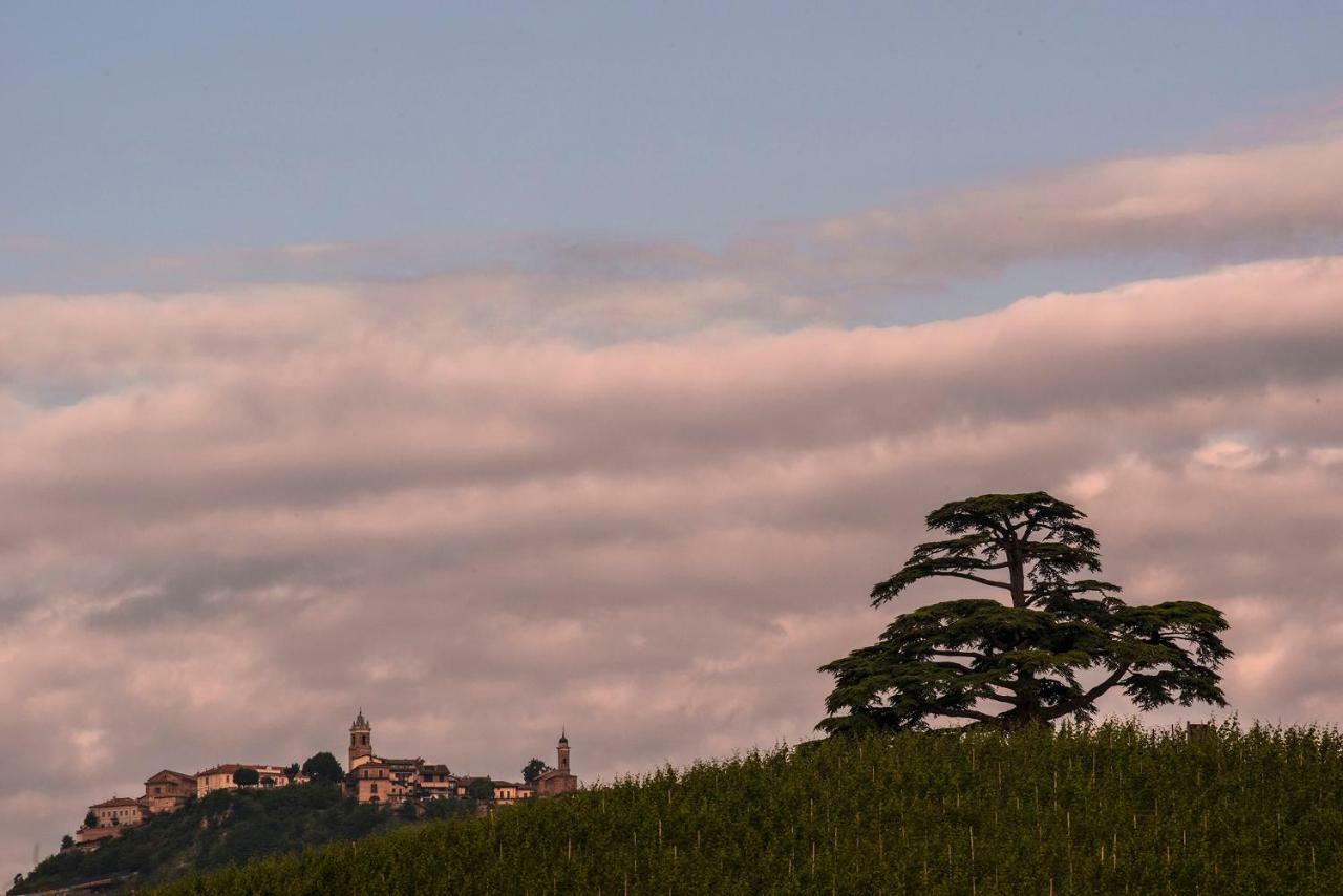 Villa Goccia Di Vino La Morra Εξωτερικό φωτογραφία